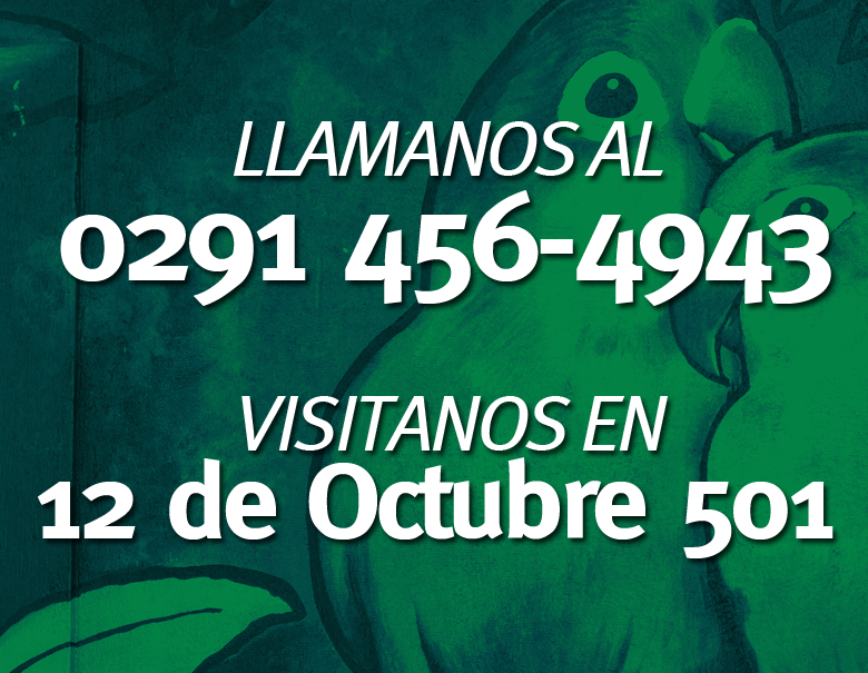 CONTACTO780X605